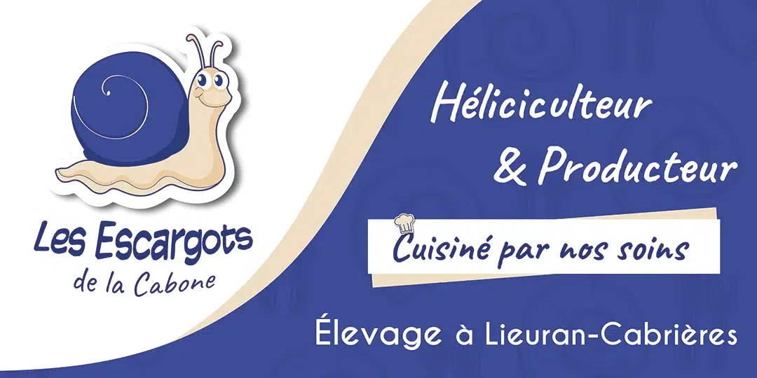 Declinaison identite visuelle